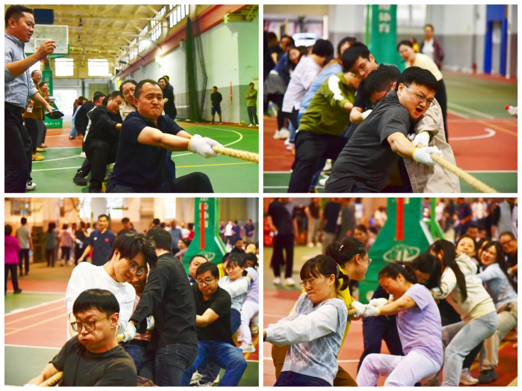 长绳聚力担使命 同心笃行创一流——2026年教职工拔河比赛圆满落幕